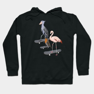 Shoebill Flamingo Robin Bird Skateboard Birdwatcher Animal Biologist Hoodie